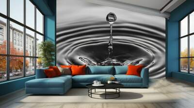 Ripple Drop: Water Impact Creating Waves
Raindrop Splashing on Water Surface with Ripples and Bubbles in Motion, symbolizing the ripple effect of small actions. Wall mural