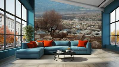 Rocky Riverbed Wall mural