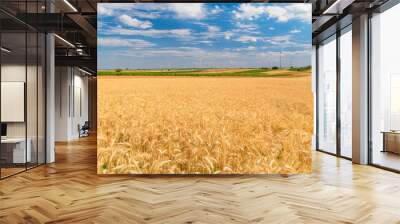 Harvest season of the wheat field Wall mural