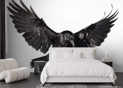 A beautiful raven (Corvus corax) in flight Wall mural