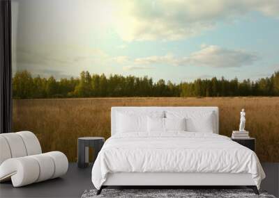 Golden hayfield on bright sunlight Wall mural