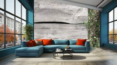 Two big planks wood texture background Wall mural