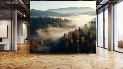 Aerial Drone View of Autumn Forest with Fog Panoramic Landscape Wall mural