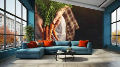 Farmers holding fresh carrots in hands on farm at sunset. Woman hands holding freshly bunch harvest. Healthy organic food, vegetables, agriculture, close up, toning Wall mural