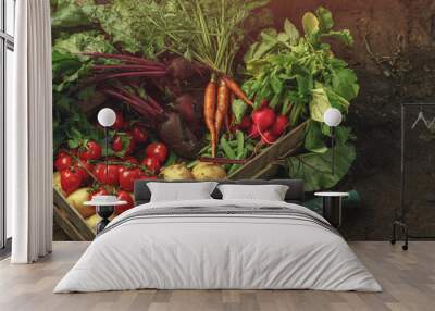 Fresh vegetables, potato, radish, tomato, carrot, beetroot in wooden box on ground on farm at sunset. Freshly bunch harvest. Healthy organic food, agriculture, close up Wall mural