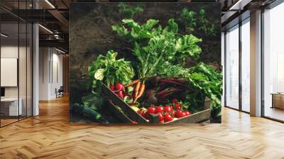 Fresh vegetables, potato, radish, tomato, carrot, beetroot in wooden box on ground on farm at sunset. Freshly bunch harvest. Healthy organic food, agriculture, close up Wall mural