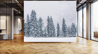 Frosty winter landscape in snowy forest. Christmas background with fir trees and blurred background of winter. Happy New Year card Wall mural