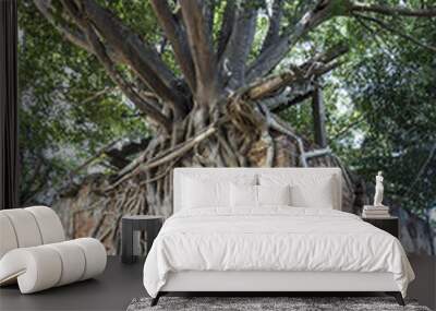 Bodhi tree root covered ruins of Wat Sang Kra Tai Wall mural