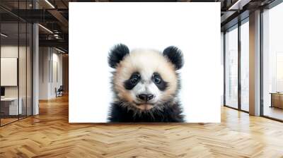 Small Panda Bear Sitting on Top of White Floor. Generative AI Wall mural