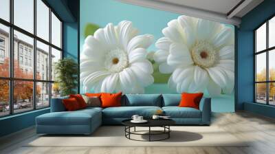 Two white daisies on a light blue background with soft lighting Wall mural