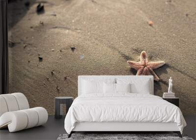 small starfish lying on the beach Wall mural