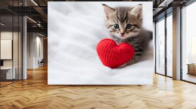 Valentines day background cute kitty and red knitted heartspace at the white background,copy space. Wall mural