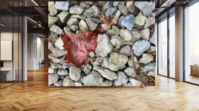 autumn leaves on rocks Wall mural