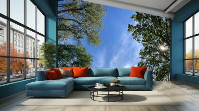 trees in the sky with sun Wall mural