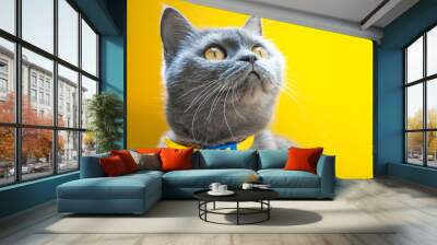 Scottish gray erect cat with bright yellow eyes on a yellow background. Pet Model. Animal portrait Wall mural