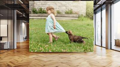 a little girl with curly hair is playing with a German Shepherd puppy, laughing, rejoicing on the green grass. happy childhood. summer holidays. Wall mural