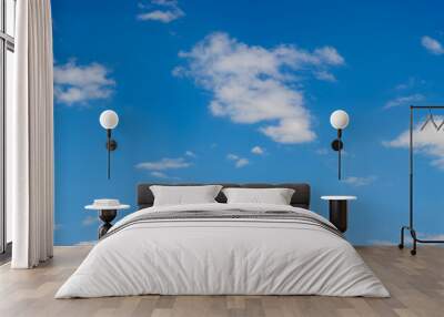 Background with blue fluffy sky. Wall mural