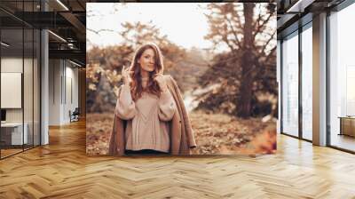 Beautiful girl in autumn park     Wall mural