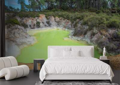 Devils Pool / Geothermalgebiet Wai-O-Tapu in Neuseeland / Geothermal area Wai-O-Tapu in New Zealand
 Wall mural