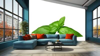 Green basil sprig isolated cutout Wall mural