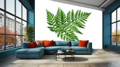 Green fern leaves isolated cutout on transparent Wall mural