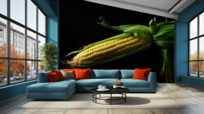 Photo of fresh corn on the cob on a dark background Wall mural