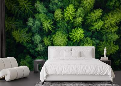 Sustainability net zero carbon negative forest nature Biodiversity Diversity Wall mural