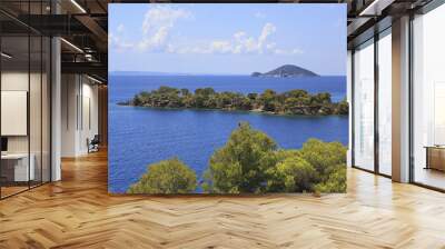 kelyfos island on the horizon of aegean sea. Wall mural