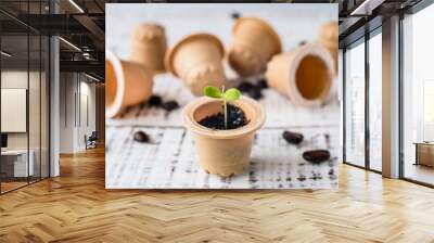 Plant sprout in used composted coffee capsule. Espresso coffee Capsules from wood in the box. BIO coffee, compostable capsules. recycling and zero waste concept Wall mural