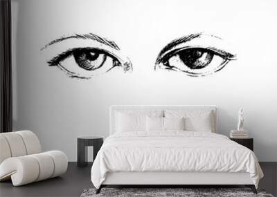 Two eyes. Graphic sketch illustration of isolated on white background. Vector Wall mural