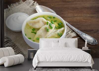 soup with homemade meat dumplings. Wall mural