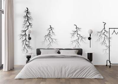 set of different roots, plant root system Wall mural