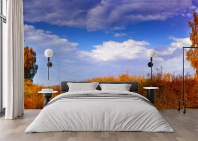 autumn panoramic landscape with mixed forest Wall mural