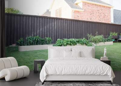 wide-angle shot of metal and wooden backyard container garden beds Wall mural