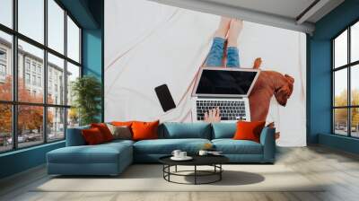 woman working on laptop. Girl Works at the Computer at Quarantine at Home. Self isolation. Legs and Laptop close-up, Dog lying next to the hostess on the couch   Wall mural