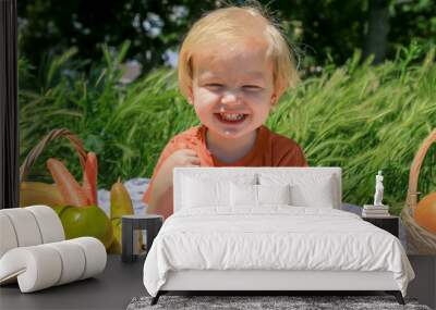 little cheerful blond boy in a green field sits on a picnic mat next to fruit baskets and eats carrots, vitamins, baby food, healthy lifestyle, happy childhood, garden and harvest, sun bathing, immune Wall mural