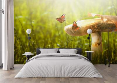 Magical fantasy large mushroom on enchanted fairy tale glade with fabulous fairytale peacock eye butterflies on mysterious green grass background and shiny glowing sun rays in the morning Wall mural