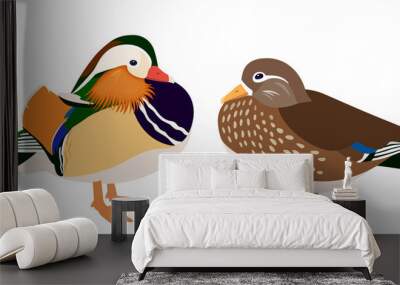 Drake and hen mandarin ducks isolated on white background, pair of mandarin ducks, vector illustration  Wall mural