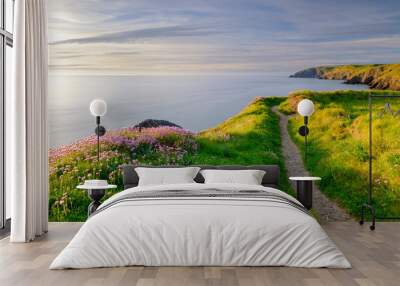 Spring evening light on Thrift 'Sea Pinks' in Ceibwr Bay, Pembroke, Wales Wall mural