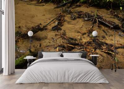 sand riverbank in the forest landscape Wall mural