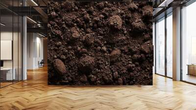 Fertile soil texture background seen from above, top view. Gardening or planting concept with copy space. Natural pattern Wall mural