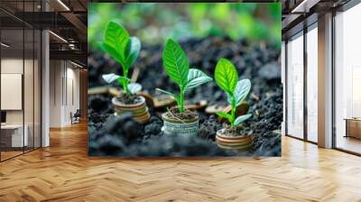 Young plants growing from banknotes and coins showing the concept of economic growth Wall mural