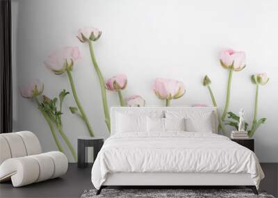 beautiful spring ranunculus flowers on white background from above. floral border. pastel color. wed Wall mural