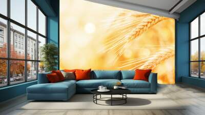 Beautiful wheat field in the sunset light. Golden ears during harvest, macro, banner format. Autumn agriculture landscape. Wall mural