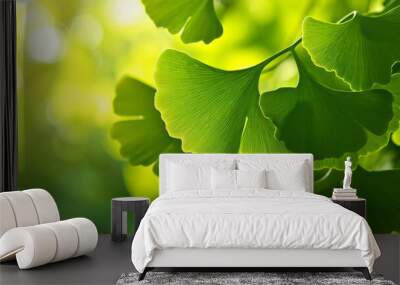 Fresh green ginkgo biloba tree leaves against blurred nature background in sunlight. Alternative medicine plant. Wall mural