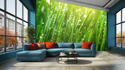 Fresh green grass with dew drops in morning sunny lights. Beautiful nature landscape with water droplets. Wall mural