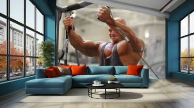 Body builder, strength exercise and man in a gym with power, weightlifting machine and workout. Muscle, strain and strong male athlete with training for bodybuilder fitness and wellness for sport Wall mural