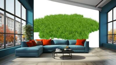 3D Rendering green grass field isolated on white background Wall mural