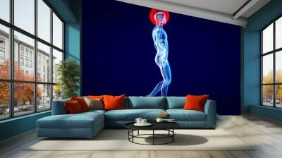 3D Anatomy concept of a Xray man Wall mural