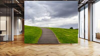 Natural background with a path up the hill, green grass and clouded sky Wall mural